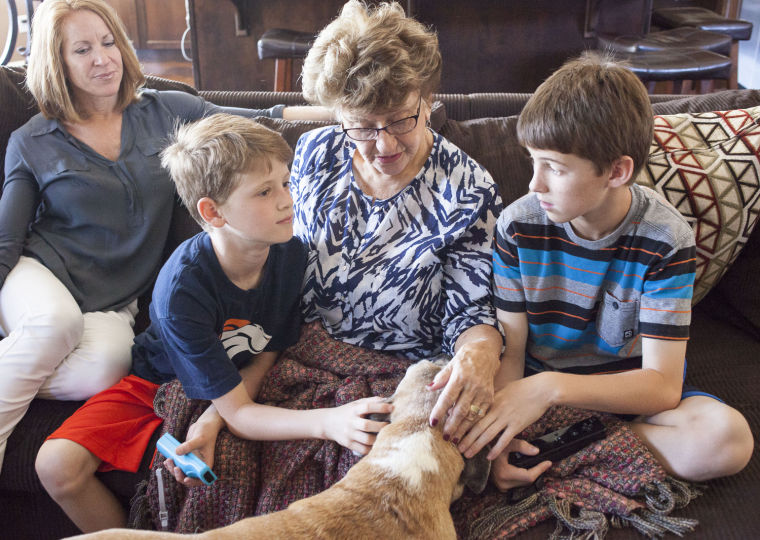 Sandwich Generation